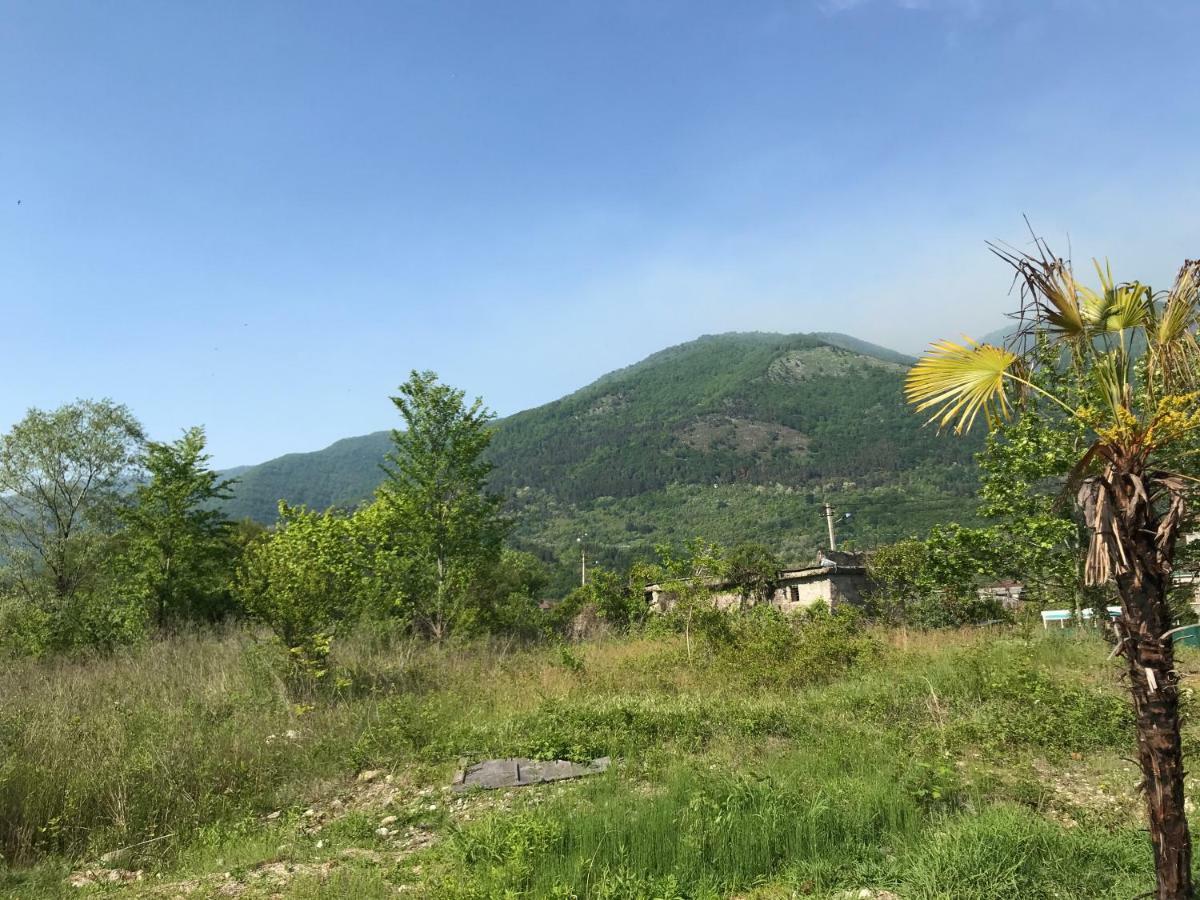 Ainar Otel Gagra Dış mekan fotoğraf