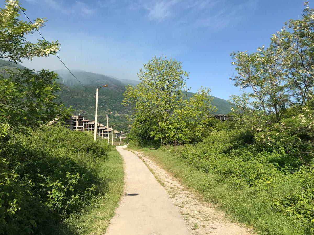 Ainar Otel Gagra Dış mekan fotoğraf