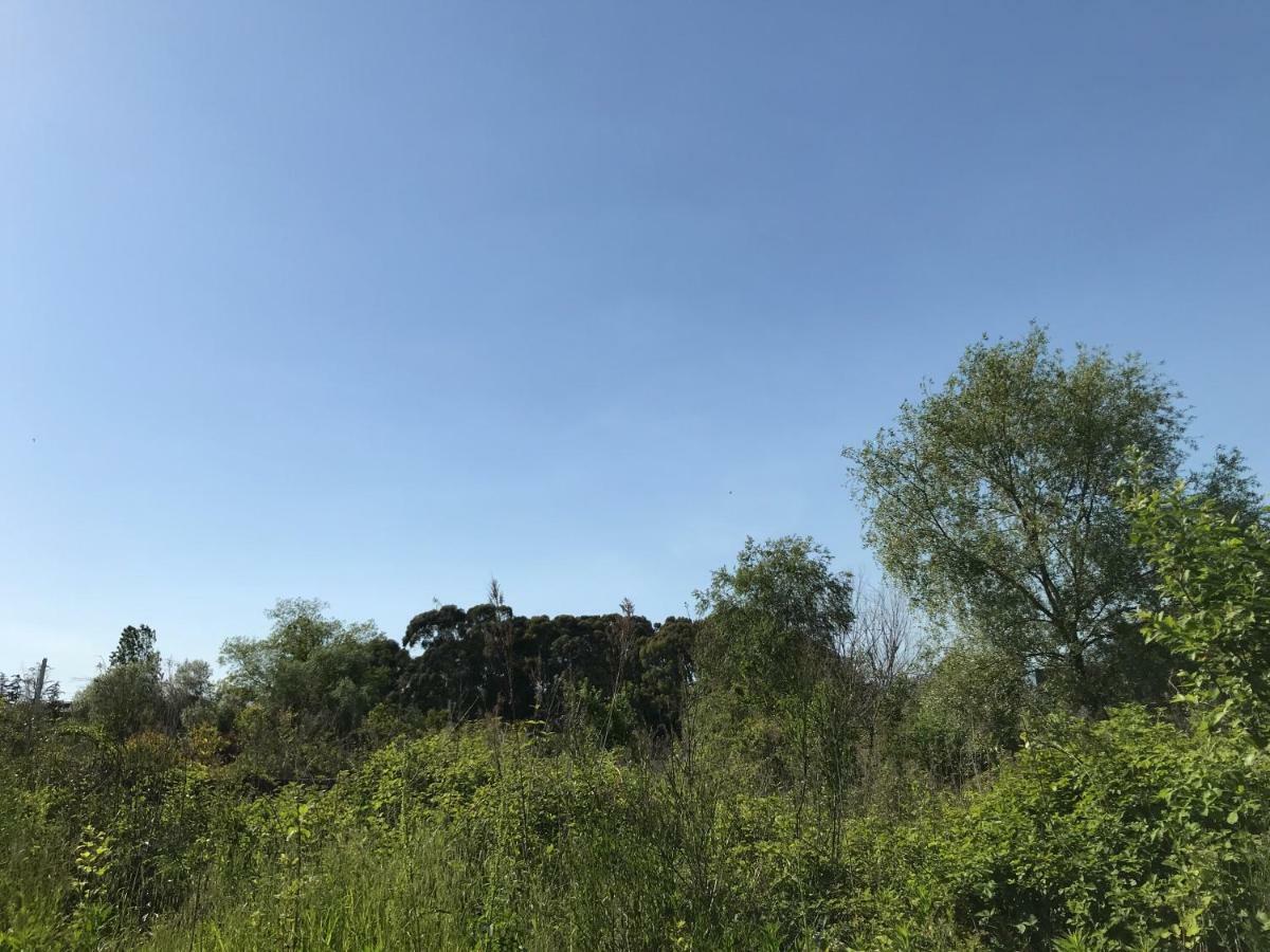 Ainar Otel Gagra Dış mekan fotoğraf